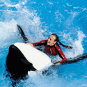 Clearwater Marine Aquarium