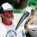 Suncoast Seabird Sanctuary