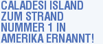 Caladesi Island zum Strand Nummer 1 in Amerika ernannt!