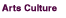 Arts Culture