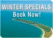 Fall Specials