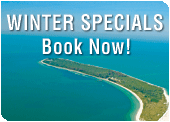 Winter Specials