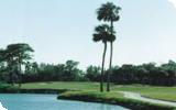 Apollo Beach Golf Course