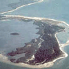 Honeymoon Island has more than 208 species of plants and a variety of shore birds.